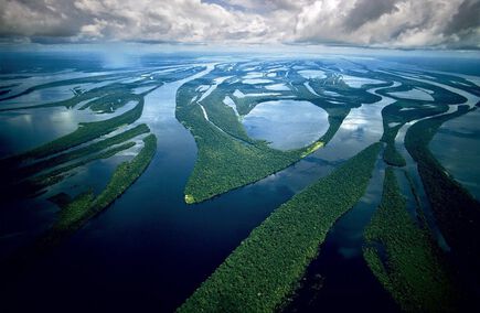 Avaliações de Concessionárias em Amazonas